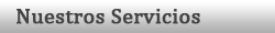 Nuestros Servicios
